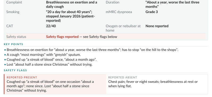 Extract from a synthetic respiratory pre-consultation record, showing the at-a-glance table and key points